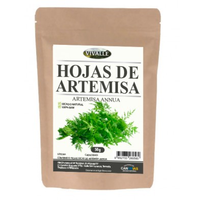 Artemisa Annua Hoja Vivalle
