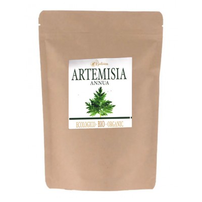 Artemisa Annua polvo Biotonix